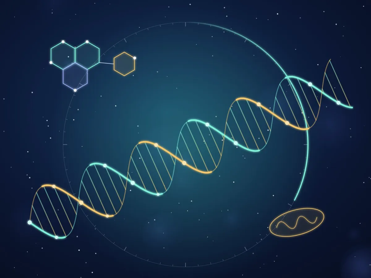 Ilustración de la ciencia de la longevidad: hélice de ADN, molécula de NAD+ y reloj biológico